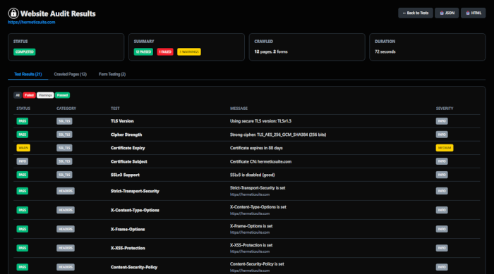 Website Audit Screenshot